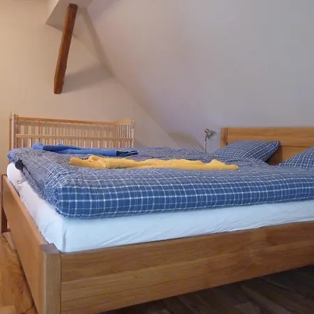 Penzion U Housku Straz nad Nezarkou Room photo
