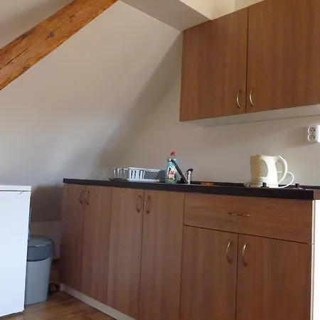 Penzion U Housku Straz nad Nezarkou Room photo